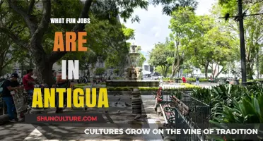 Exciting Careers in Antigua: Discover Fun Jobs in Paradise