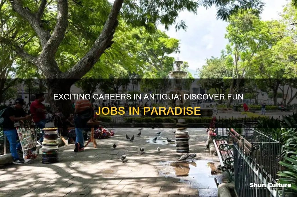 what fun jobs are in antigua