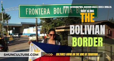 Brazil's Bolivian Border: Geographic Advantages and Opportunities