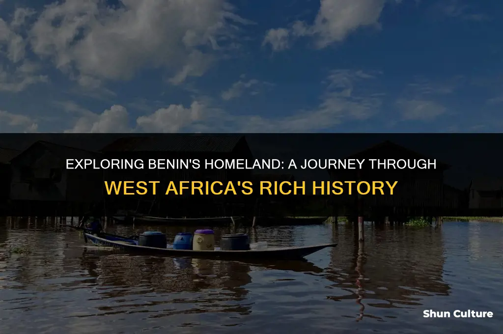 what geographic area was benin
