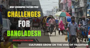 Geographic Hurdles: Bangladesh's Battle Against Nature's Challenges