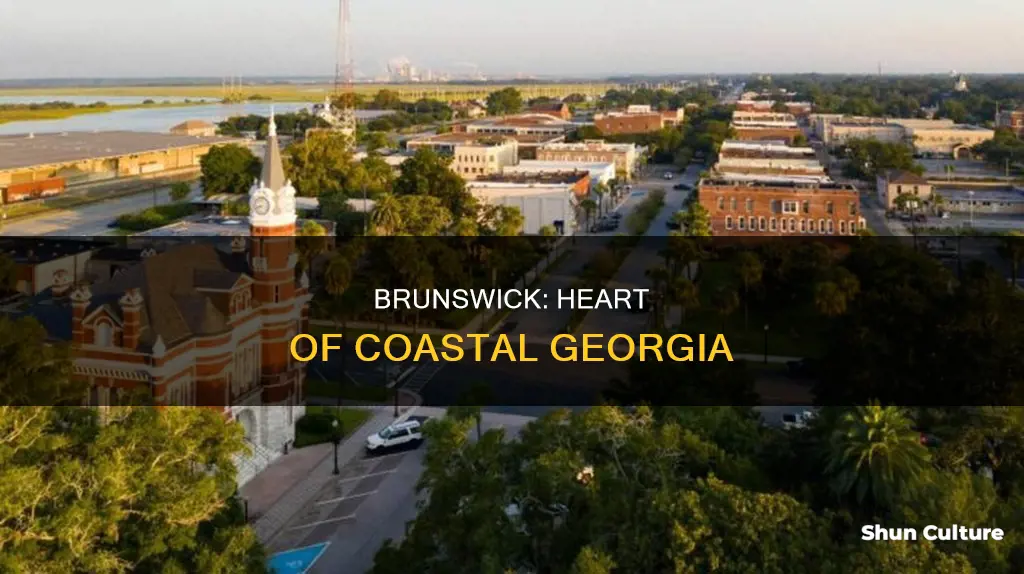 what georgia region is brunswick in