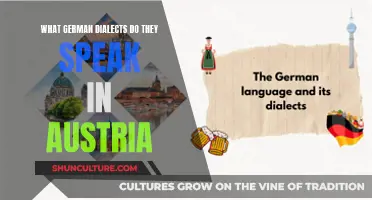 Exploring Austria's German Dialects: A Linguistic Journey