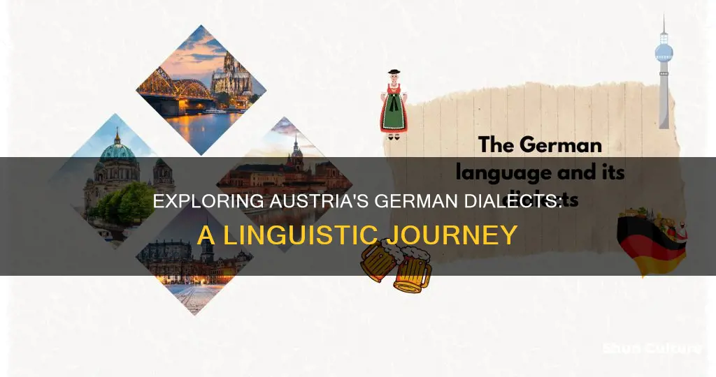 what german dialects do they speak in austria