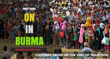 Unraveling the Complex Crisis: A Deep Dive into Burma's Current Affairs