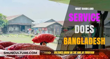 Exploring Bangladesh's Diverse Exports: Goods and Services Driving Its Economy