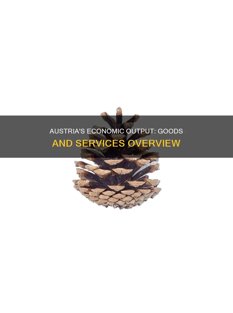 what goods and services does austria produce