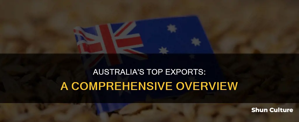 what goods are exported in australis