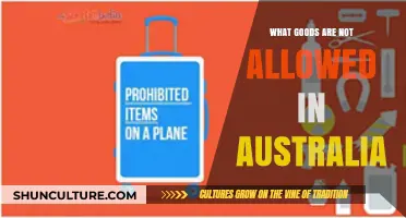Prohibited Imports: Australia's Strict Customs Laws