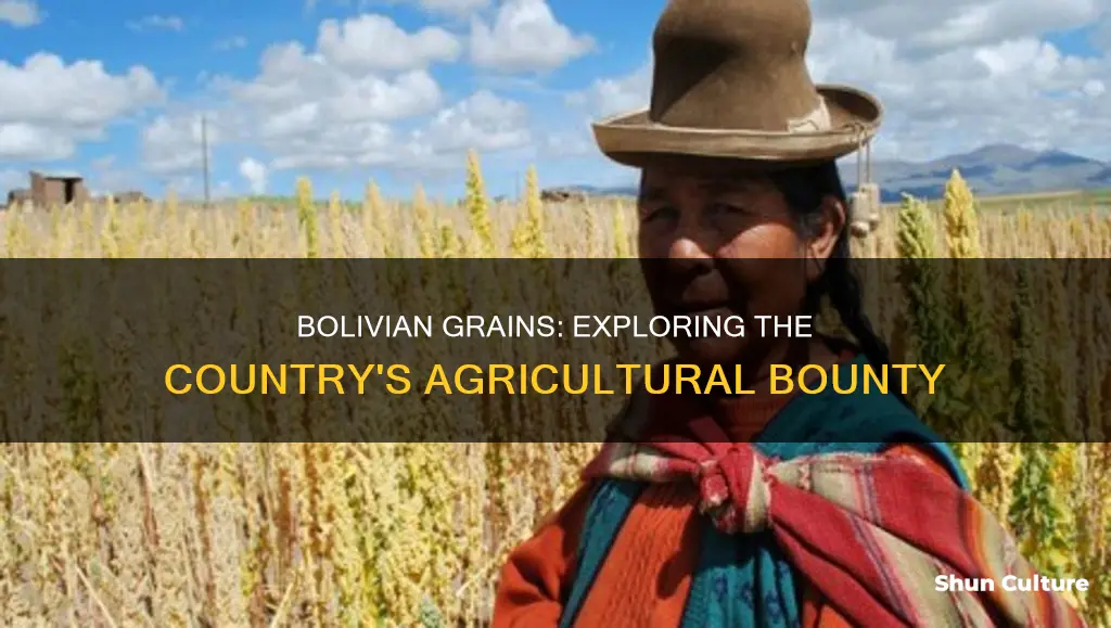 what grains are grown in bolivia