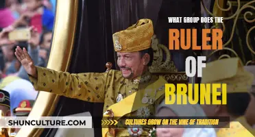 Who Does the Sultan of Brunei Associate With?