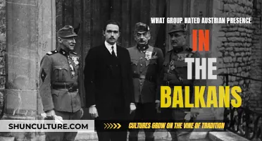 The Balkan Conflict: Who Hated the Austrians?