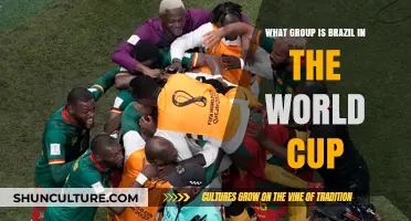 Brazil's 2022 World Cup Group: Opponents, Schedule, and Predictions