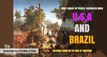 European Powers: Colonization of India, USA, and Brazil Explored