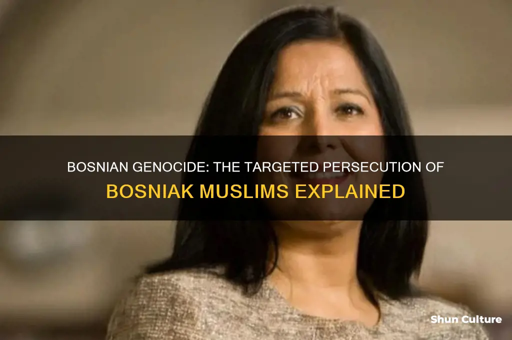 what group of people were targeted in the bosnian genocide