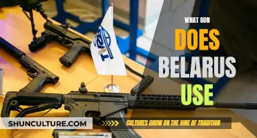 Belarusian Standard-Issue Firearms: What Guns Does the Country Use?