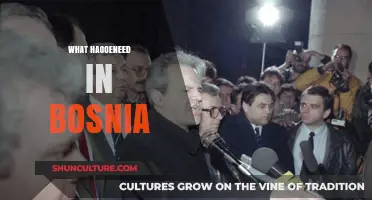 Bosnia's Tragedy: Unraveling the Devastating Events of the 1990s War
