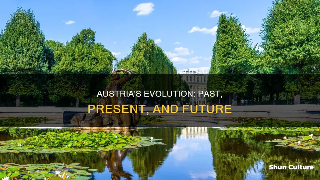 what happen in austria