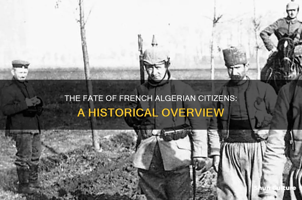 what happen to french algerian citizens
