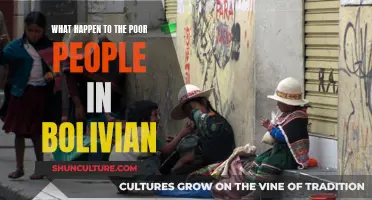 Bolivia's Poor: A Life of Struggle and Resilience