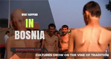Bosnia's Tragic Conflict: Understanding the Devastating War and Its Aftermath