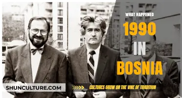 Bosnia's Turbulent 1990: Prelude to War and Political Upheaval