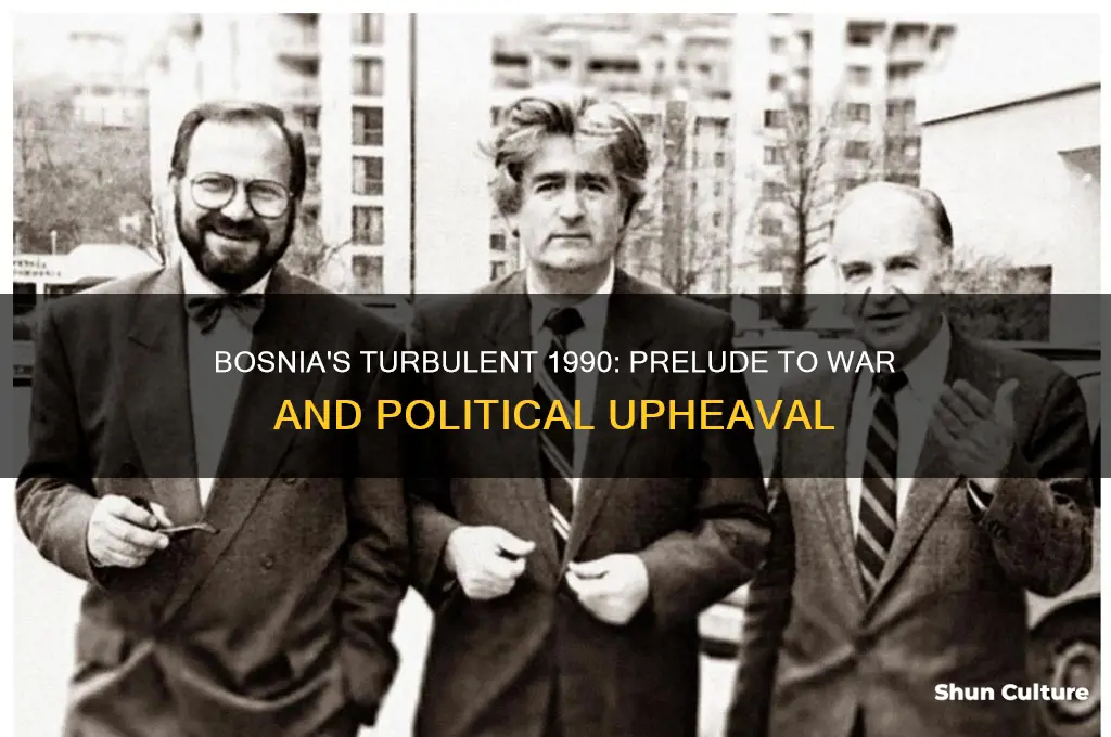 what happened 1990 in bosnia