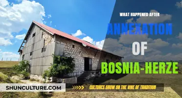 Bosnia-Herzegovina's Post-Annexation Turmoil: Conflict, Resistance, and Legacy Explored
