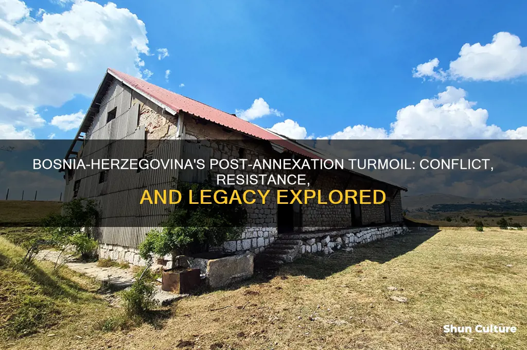 what happened after annexation of bosnia-herzegovina