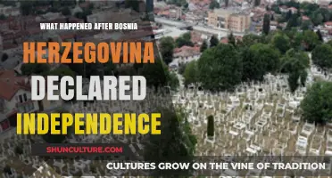 Bosnia's Independence: War, Dayton Accords, and Post-Conflict Reconstruction