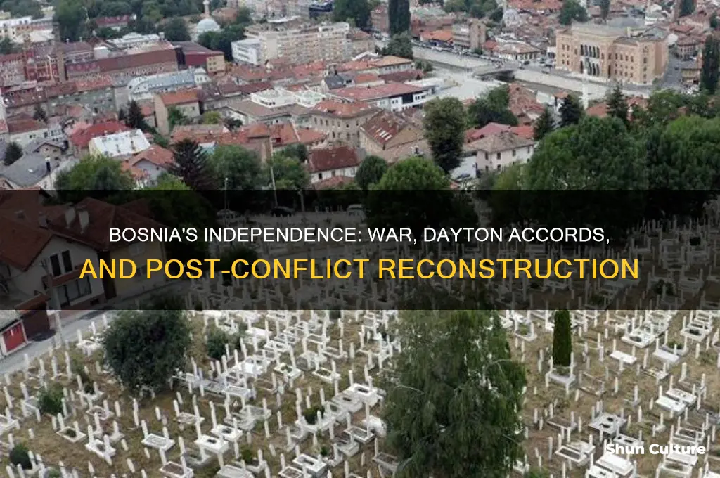 what happened after bosnia herzegovina declared independence