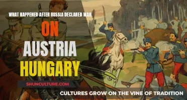 The Great War: Russia's War on Austria-Hungary and Its Aftermath