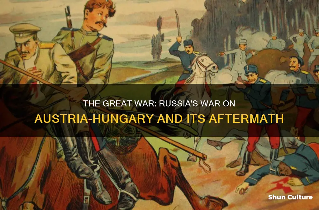 what happened after russia declared war on austria hungary