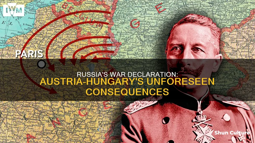 what happened after russia declared war on austria hungary