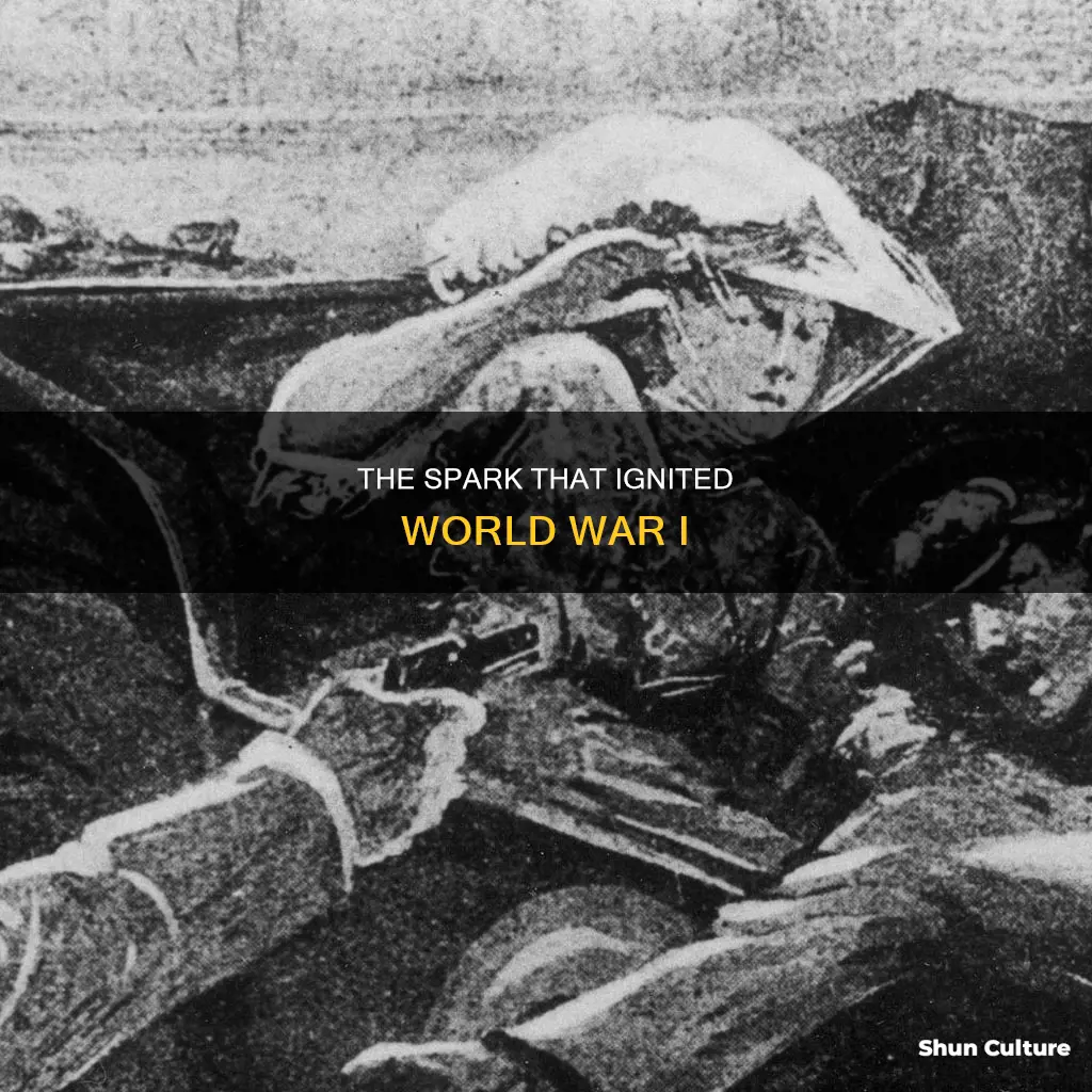 what happened after the assassination of the austrian archduke