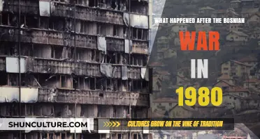 Post-Bosnian War 1990s: Rebuilding, Reconciliation, and Lasting Impacts