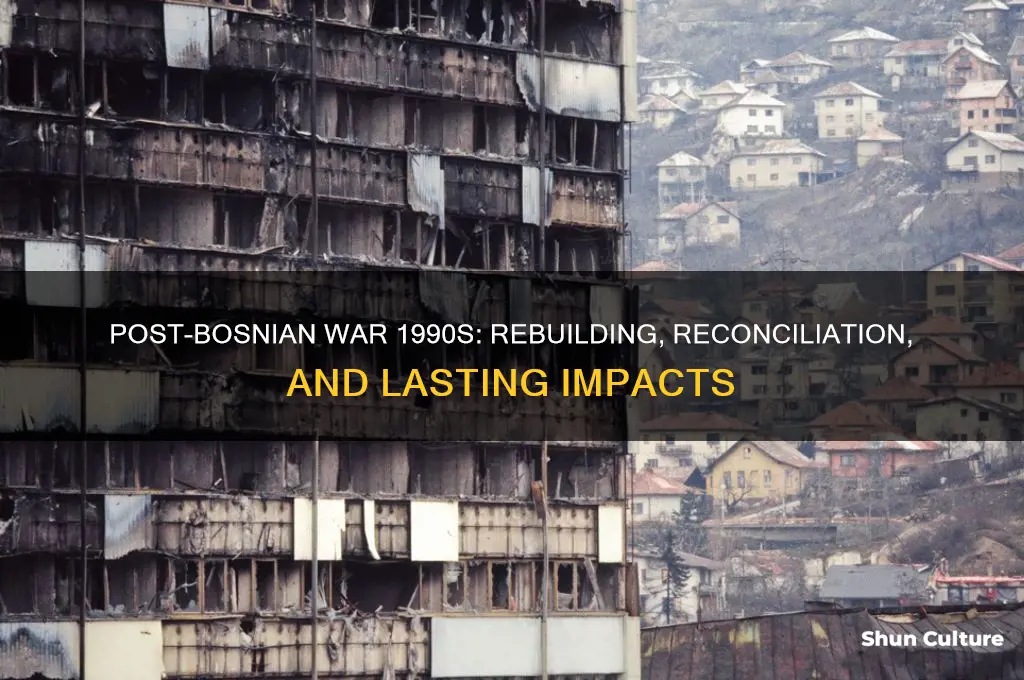 what happened after the bosnian war in 1980