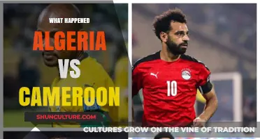 Algeria vs Cameroon: Match Drama, Penalties, and World Cup Dreams