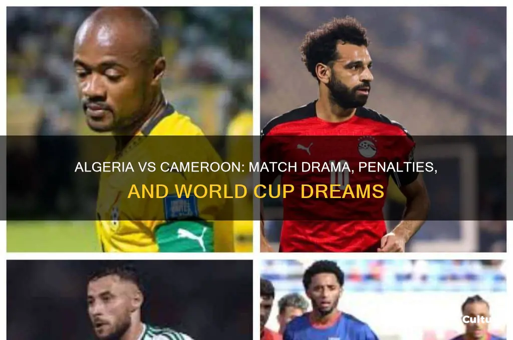 what happened algeria vs cameroon