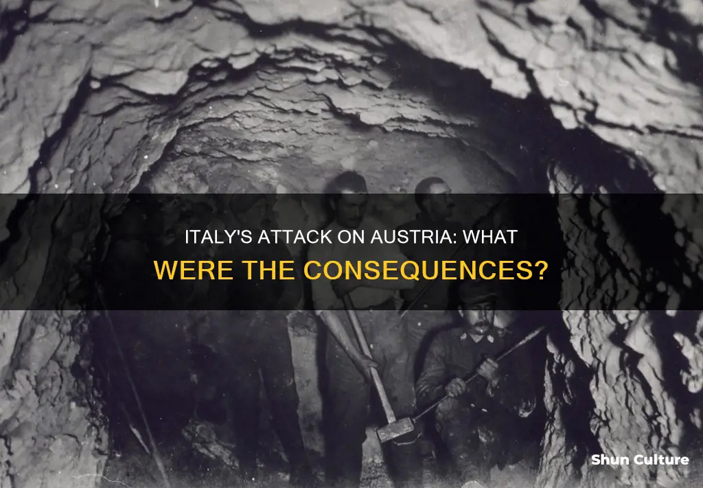 what happened as a result of italy attacking austria