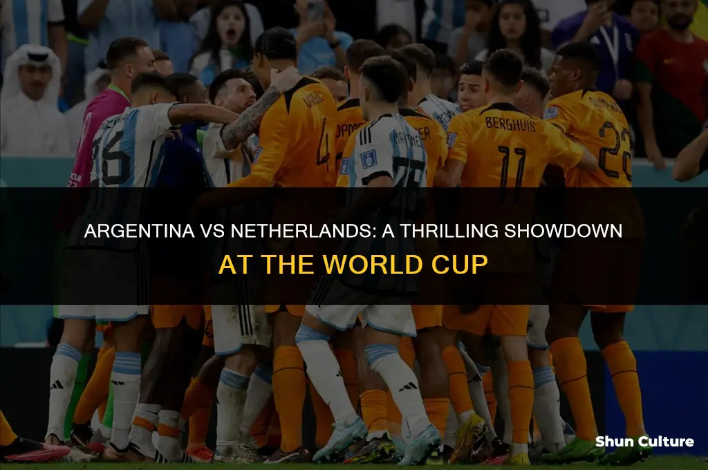 what happened at argentina vs netherlands
