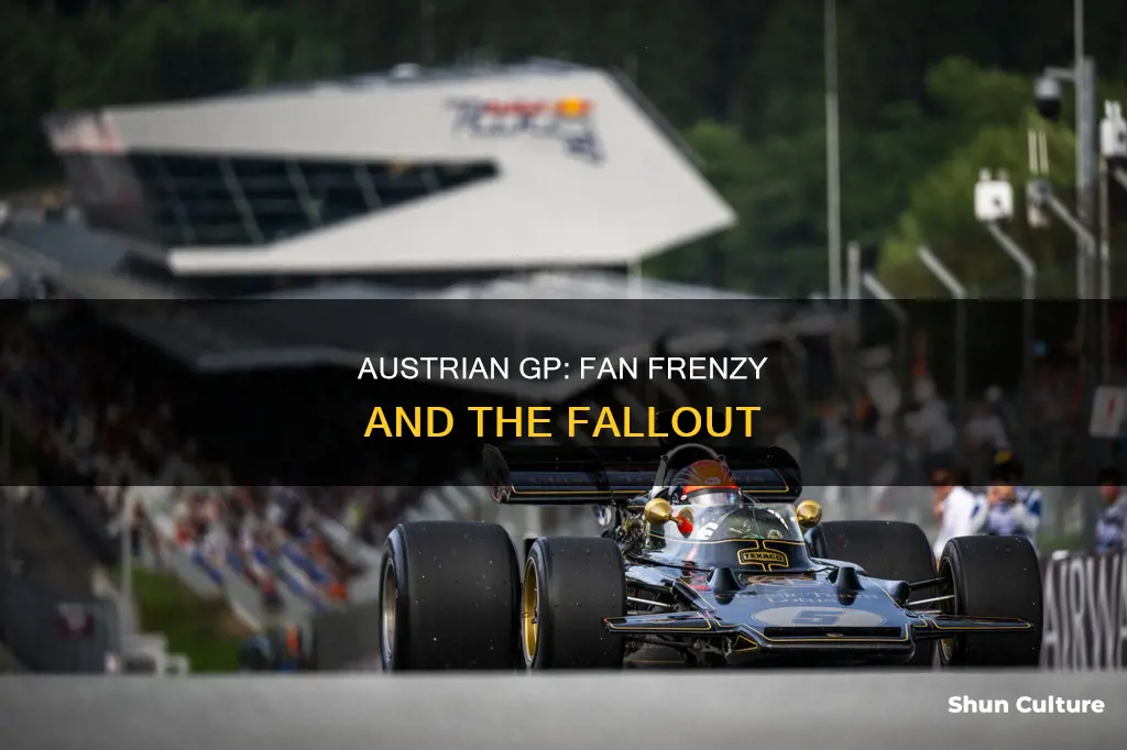 what happened at austrian gp with fans