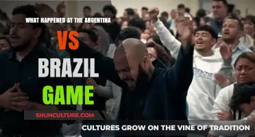Argentina vs Brazil: Chaos, Red Cards, and Match Abandonment Explained
