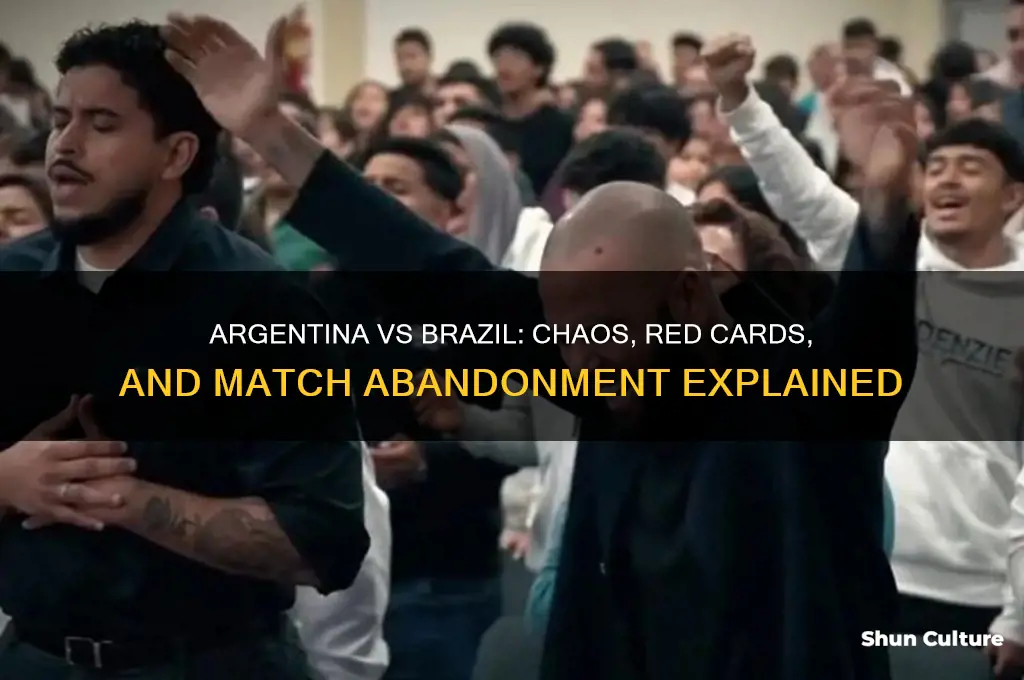 what happened at the argentina vs brazil game