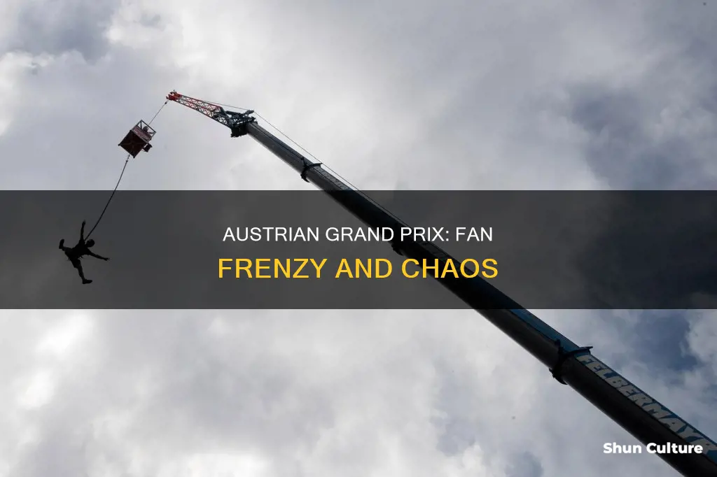 what happened at the austrian grand prix with fans