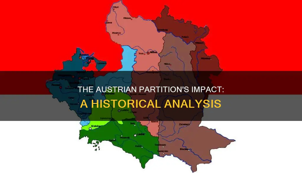 what happened because of the austrian partition