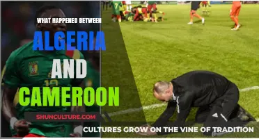 Algeria vs. Cameroon: Unraveling the FIFA World Cup Playoff Drama