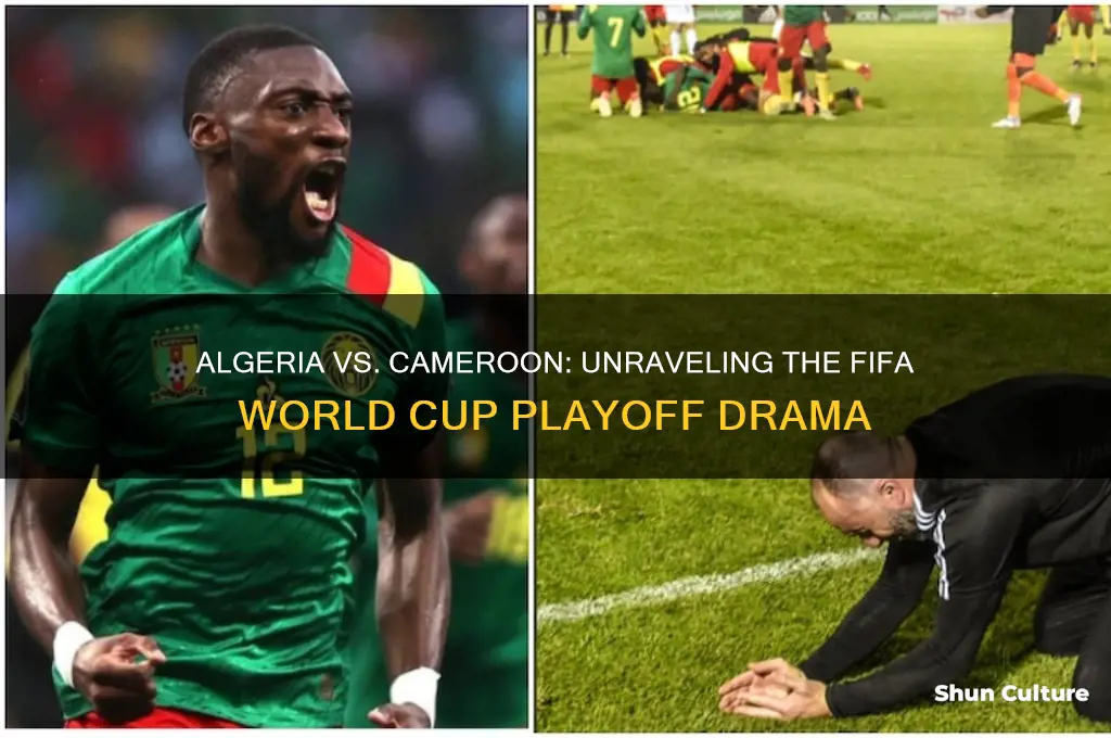 what happened between algeria and cameroon