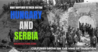 Austerian-Serb Conflict: The Spark of World War I