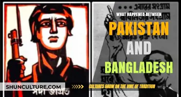 Pakistan-Bangladesh Divide: Unraveling the 1971 Liberation War's Legacy